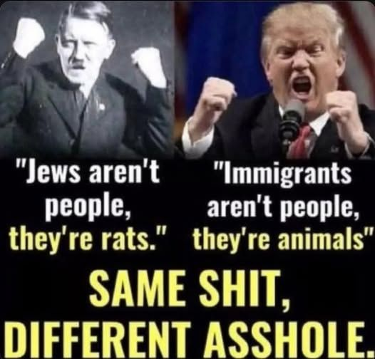 trump mirroring hittler